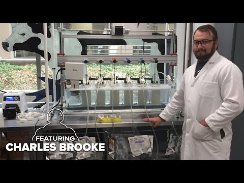 Mark Bell's Power Project EP. 369 - Are We Going To Run Out Of Meat? ft. Charles Brooke