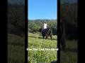 I Guess Mini Cows are Good to Ride