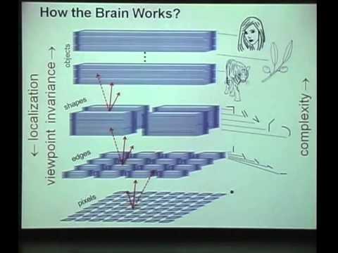 Garrett Kenyon | Cracking The Neural Code: Discovering the Language of the Brain