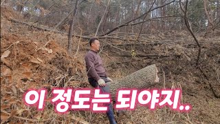 땔깜으로는 참나무가 최고입니다.