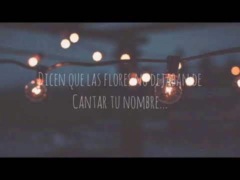 Mi Bendición - Juan Luis Guerra (Lyrics)