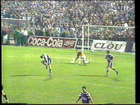 Vorwärts Steyr - Austria Wien 2:0 - Saison 1993/94