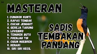 Download lagu 🔴 GACOR SADIS MENTAL KUAT MASTERAN MURAI BATU GACOR mp3 Download lagu 🔴 GACOR SADIS MENTAL KUAT MASTERAN MURAI BATU GACOR mp3