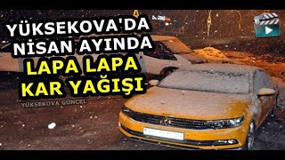 Yüksekova'da Nisan Ayında Lapa Lapa Kar Yağışı