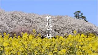 Gongendo Park video preview