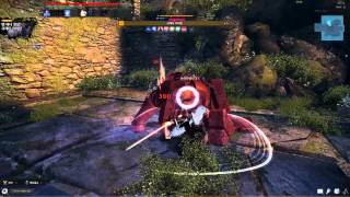 아인라허 노피격 금메달 - 크레타 카피탄 , 라고데사 , 지배된 블랙해머