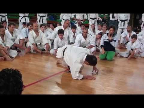 Yahara Sensei - Kata Unsu