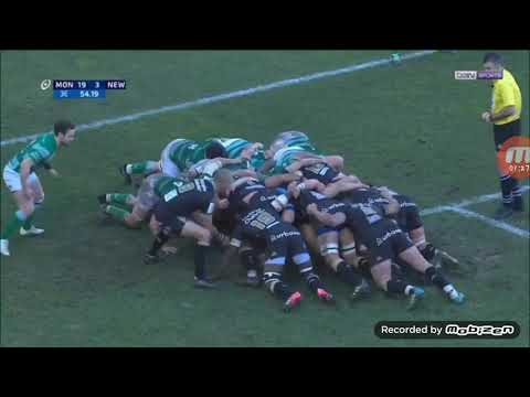 Montpellier vs Newcastle Falcons champions Cup résumé