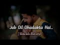 Jab Dil Dhadakta Hai Slowed Revard Lofi Song 90 S Romantic Song Kumar Sanu Alka Yangik
