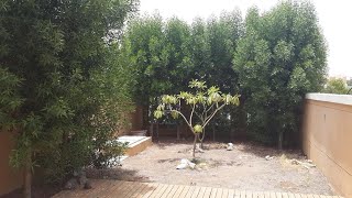 1 bedroom Townhouse For Rent in Dubai Jumeirah Village Triangle Next to School