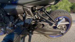 Black Widow living in my bike! Plus Snake Collection and Wild Turkeys