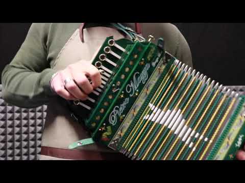 Tarantella calabrese ricriacori - GIUSEPPE LUCA'