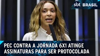 Fim da escala 6x1: assinaturas necessárias protocolar PEC é atingida | SBT Brasil (13/11/24)