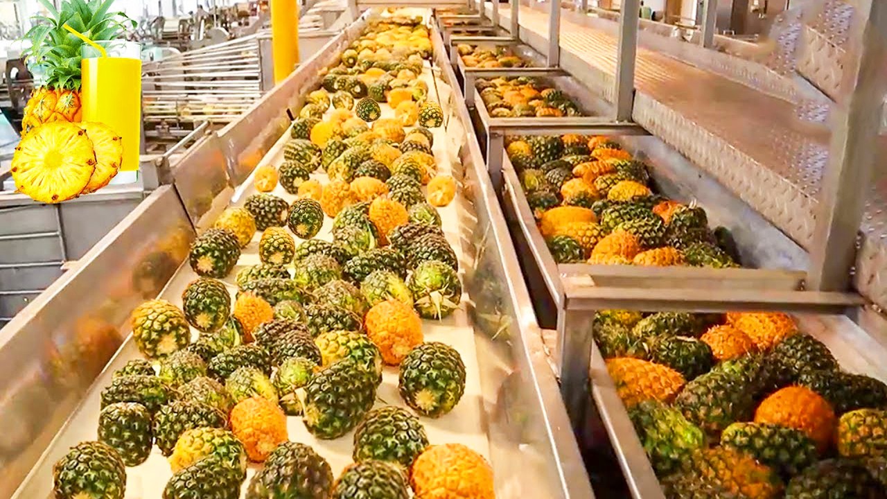 عملية تصنيع مذهلة لن تتخيلها... لن تصدق كيف يُصنع عصير الأناناس!