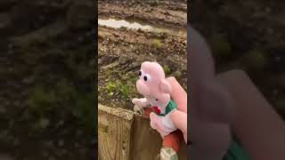 Download lagu wallace is a bit on the fence lad mp3 Download lagu wallace is a bit on the fence lad mp3