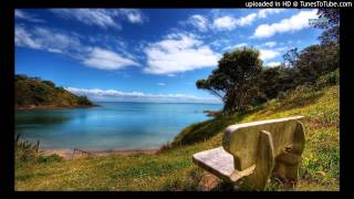 MS MR - Ash Tree Lane (Live City Remix)