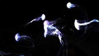 Galaxie ZULU Teaser No.3