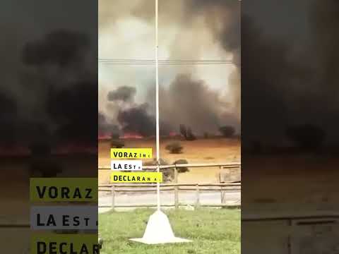 Voraz incendio en La Estrella: declaran Alerta Roja
