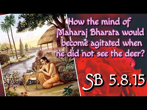 SB 5.8.15 (Eng) - Param Brahma das - 18 Jan 2021 Melbourne, Australia