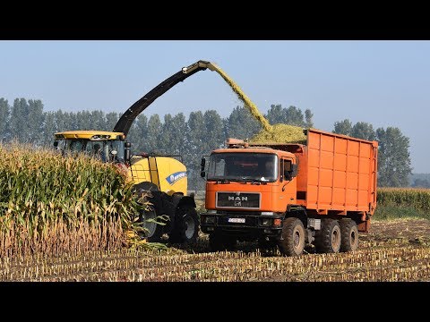 New Holland FR600 - Loonw. Neyt-Van Laere - mais hakselen