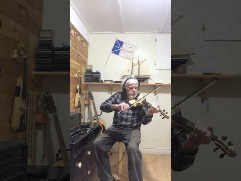 Violin 4/4  electric image 10