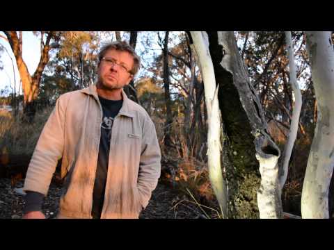 download lagu mp3 mp4 Matthew Harding Artist, download mp3 Matthew Harding Artist free download mp3, download mp3 Matthew Harding Artist