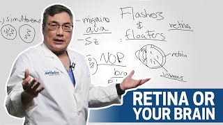 Evaluating Eye Flashers and Floaters | Houston Methodist