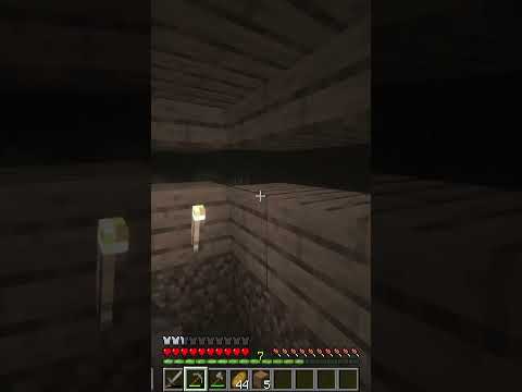 Terrifying Encounter in Minecraft: The Man from the Fog
