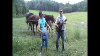 Ústecká Gádžovka - Koně