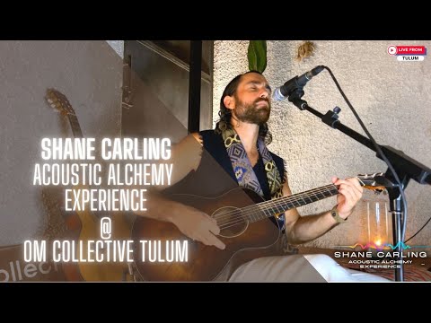 Shane Carling Live In Tulum at  OM Collective