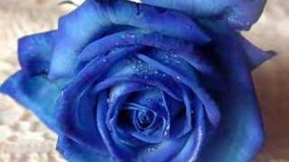 Jim Felix - Always on my Mind