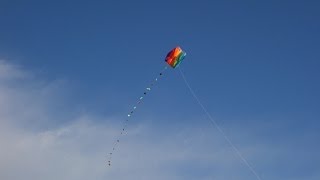 preview picture of video 'parafoil kite flying'