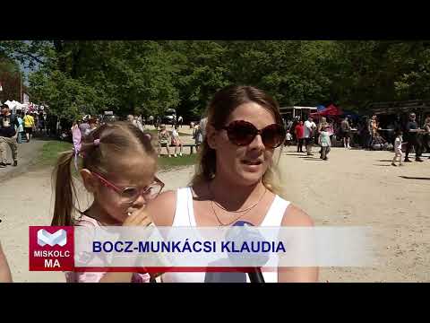 Videó előnézet