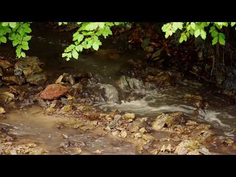 Promotional video for the local community in Horoatu Crasnei commune