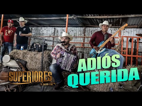 Adios Querida - Superiores de Nuevo Leon
