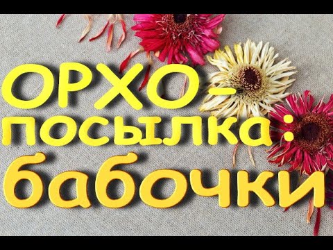 ПОСЫЛКА с орхидеями "БАБОЧКАМИ":обмен пелориками :) Посылку получила 13.09.20.