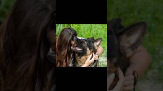 Download lagu This woman slept with her dog every night. #story #quote #stories #dogs mp3 Download lagu This woman slept with her dog every night. #story #quote #stories #dogs mp3