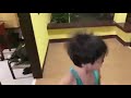 Elmo S Fish Died