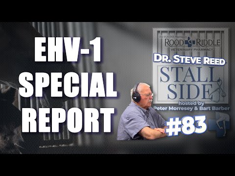 EHV 1 und Ihr Pferd: Was Sie JETZT wissen müssen – mit Dr. Steve Reed