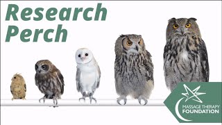 Massage Therapy Program at Blessing Hospital Part One [Research Perch]