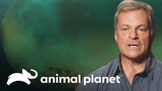 Thumbnail del capítulo