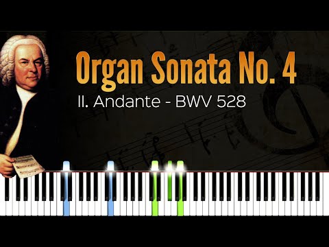 Organ Sonata No. 4 - II. Andante | Bach | Piano Tutorial | Synthesia | How to play