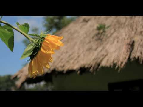 Пісня для всіх, хто далеко від дому- ДОДОМУ - Наталія Сідлярчук