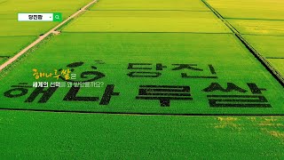 당진해나루쌀조합 2023 당진 해나루 삼광쌀 특등급 10kg (1개)_동영상_이미지