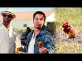 The Legendary Chicken Game Scene 2 Guns CLIP