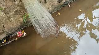 Download lagu ngecrik lauk menjaring ikan di sungai mp3