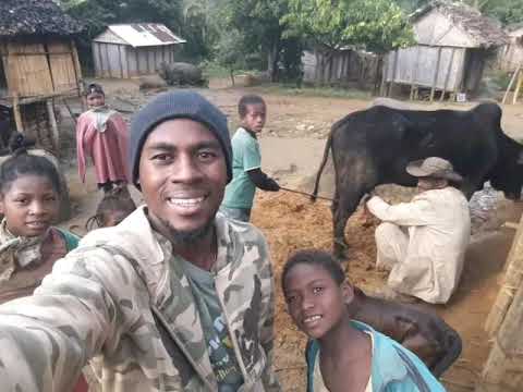 dors groupe basesa sady mamo very dara by jp