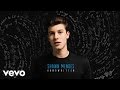 Shawn Mendes - A Little Too Much (Official Audio)