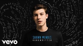 Shawn Mendes - A Little Too Much (Audio)