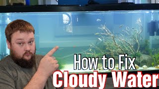 Cloudy aquarium water - how to fix it!